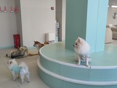 -怪兽屋·羊驼·猫咖·狗咖(俊华广场店)