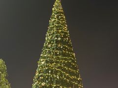 -星巴克(北京望京店)