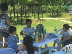 -上海长兴岛郊野公园