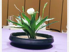 -张福记(陇海中路店)