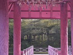 -田野绿世界