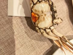 -东方红海鲜百汇(国际大厦店)