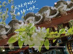 -海棠花溪(元大都城垣遗址公园)