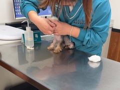 -派联宠物医院·24h·CT·异宠