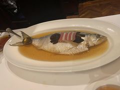 陈年花雕蒸鲥鱼-福1088