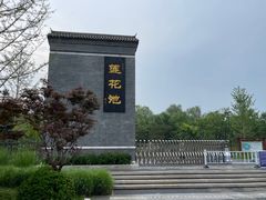 -莲花池公园