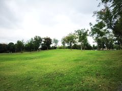 -盘龙城国家考古遗址公园