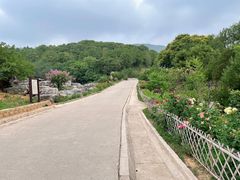 -北京西山国家森林公园