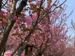 -南通洲际绿博园