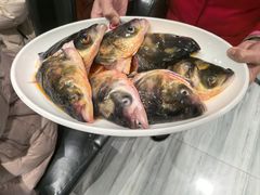 -忘情水鱼头·鲜鱼火锅(滨江中路店)