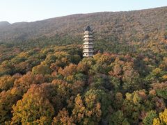 -灵谷景区