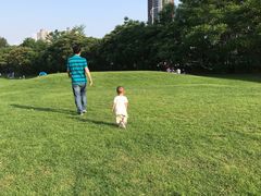 -长白岛森林公园