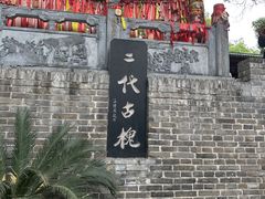 -大槐树寻根祭祖园