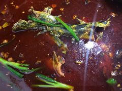 -金海椒罐罐鲢鱼(东方桂苑店)