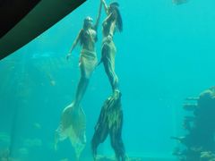 -海棠湾洲际-涛·海底餐厅·美人鱼·自助餐·海底隧道