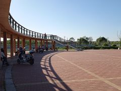 -丁香湖公园