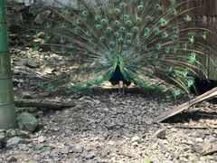 -藏龙百瀑风景区