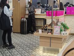 -霸王茶姬(正佳广场店)