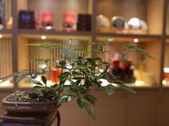 -若蘭慈·无国界素食料理(欢乐海岸店)