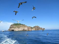 -海驴岛(荣成市)