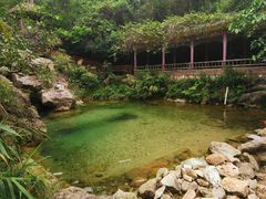 -南海湾森林生态园