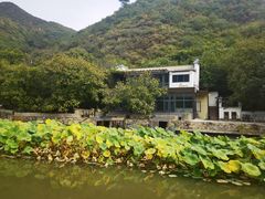 -荷塘味道(水长城店)
