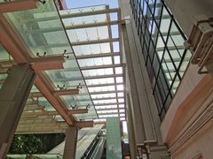 -香港大学