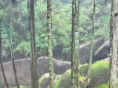 -玉苍山国家森林公园