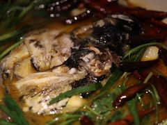 山茶油丹江大鱼头-清水亭湖北菜(大屯DT51店)