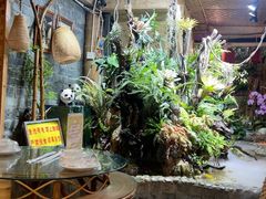-多哥水傣味餐厅(司马巷店)