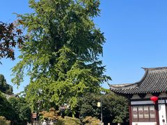 -常熟方塔园