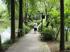 -西溪国家湿地公园