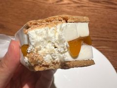 酸奶油酸杏子手握-半勺舒舒(太乙店)