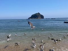 -棒棰岛宾馆景区