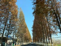 -泗洪洪泽湖湿地景区