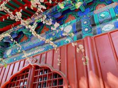 -大觉寺-停车场