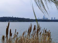 -鸡鸣汤包(广东路店)