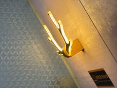 -华业精品酒店(广州增城挂绿广场店)