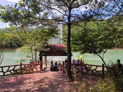 -广州白江湖森林公园