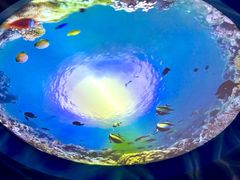 -海合安成都极地海洋公园