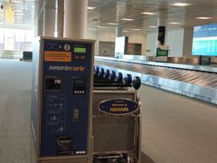 -纽瓦克自由国际机场