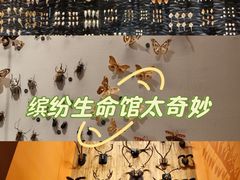 -1868 Café(上海自然博物馆店)