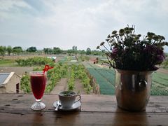 -翠田Green Field Kitchen