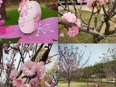 -盈香心动乐园