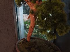 -见康道莱•足浴按摩•艾灸•SPA(友谊店)