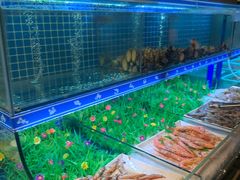 水产区-蟹将军·松叶蟹和牛日料放题自助(K11店)