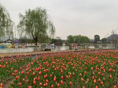 -径山花海