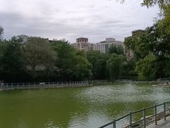 -莲湖公园