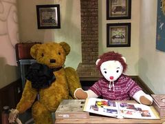 -济州岛泰迪熊博物馆