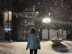 -泓0871臻选云南菜·味庄